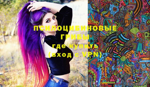 таблы Богородск