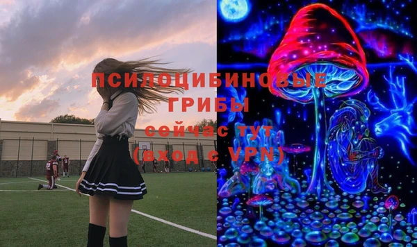 МДПВ Богданович