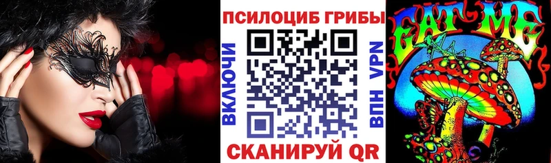 Купить закладки  Волосово  Псилоцибиновые грибы мицелий 