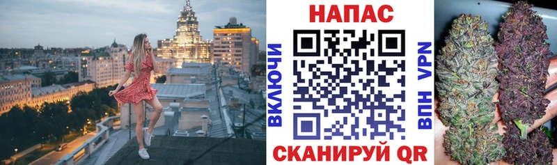 Купить где  Волосово  Бошки Шишки конопля 